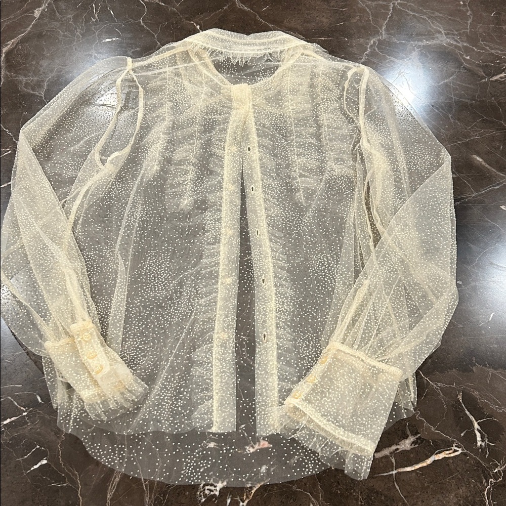 Zara Sheer Cream Blouse with Polka Dots - Picture 9 of 10